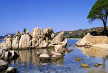 IM电竞官网-关于篮网B队碾压西班牙男篮，库里统治全场的信息