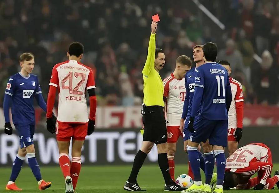 包含波兰迎战瑞士，胜负难料的较量的词条