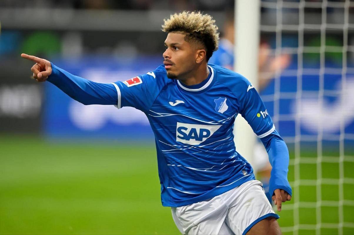 包含霍芬海姆惨遭血洗，德甲未来堪忧的词条