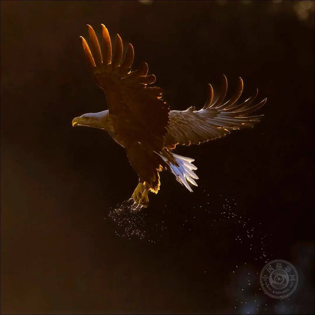 关于斯洛文尼亚小胜北马其顿，小组第三晋级的信息